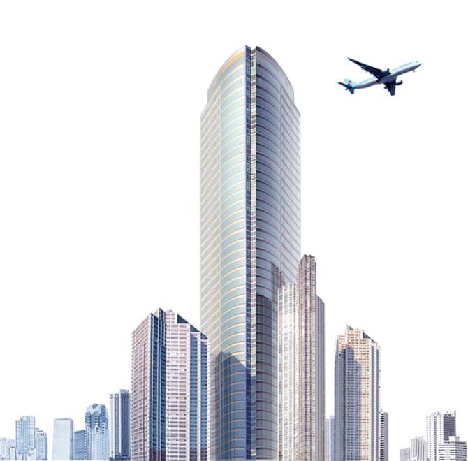 �ò���������