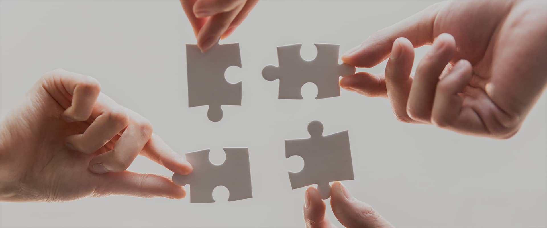 �ò���������