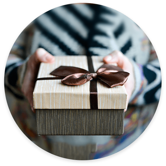 �ò���������