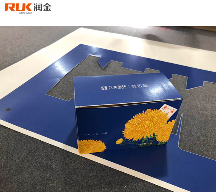 �ò���������