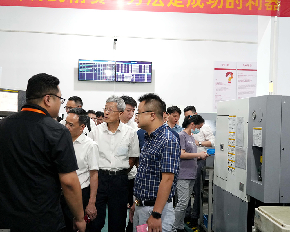 �ò���������