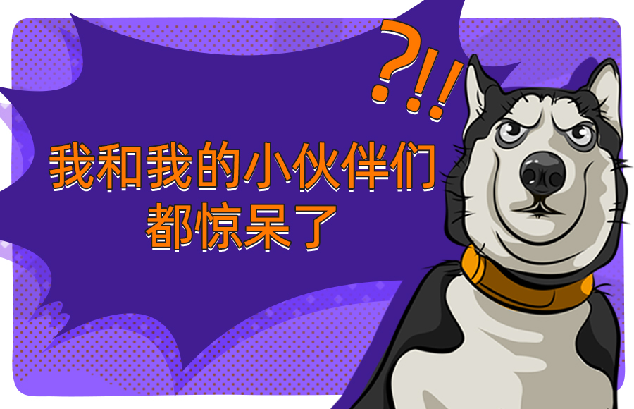 �ò���������