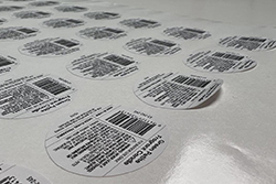 �ò���������