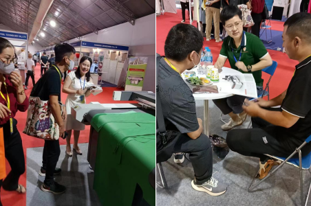 �ò���������