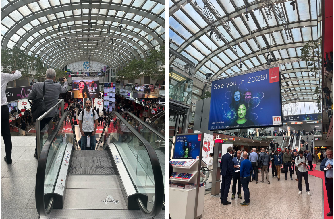 �ò���������