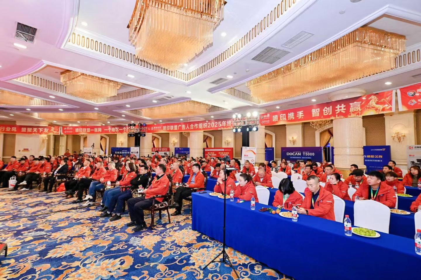 �ò���������